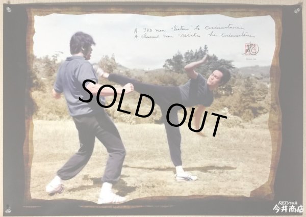 画像2: エボリューション・オブ・ジークンドー（英国製ポスター） (2)