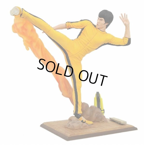 画像5: 【最終在庫】ブルース・リーギャラリー”キッキング” (5)