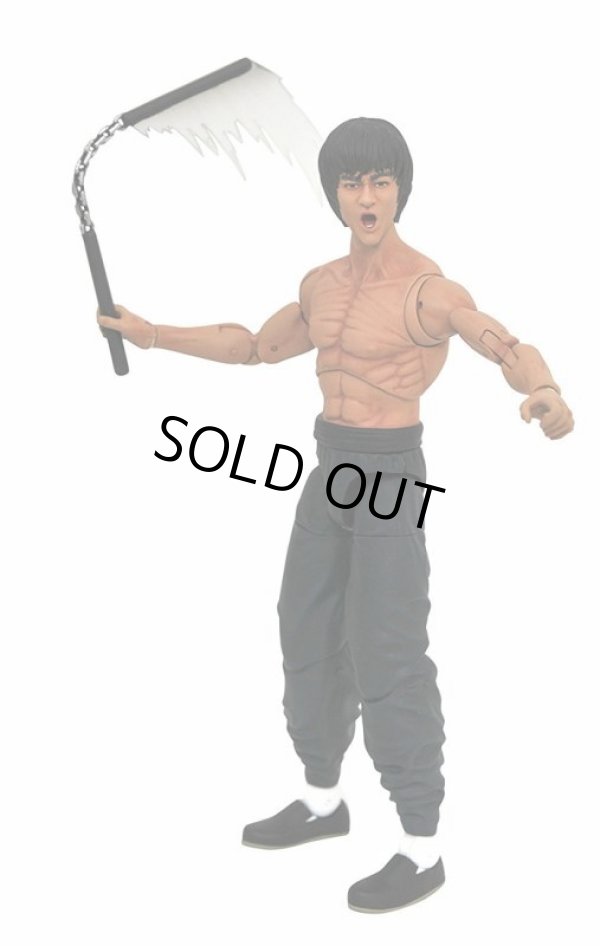 画像6: 【最終在庫】ブルース・リーセレクト”シャツレス” (6)