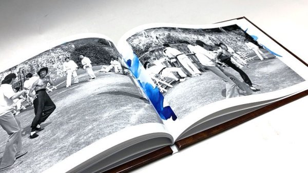 画像8: 【ゴールデンウィーク特価】ブルース・リーエモーション4：燃えよドラゴン（イギリス本） (8)