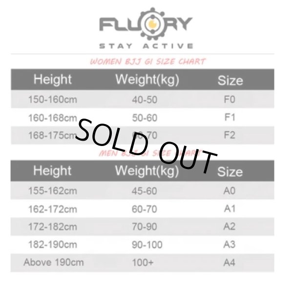 画像5: 【1点モノ】ブラジリアン柔術道着ブルース・リーエディション (5)