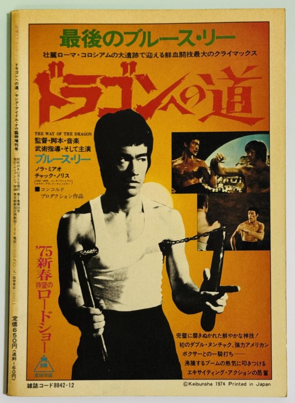 画像4: 【当時モノ】最後のブルース・リードラゴンへの道（国内本） (4)