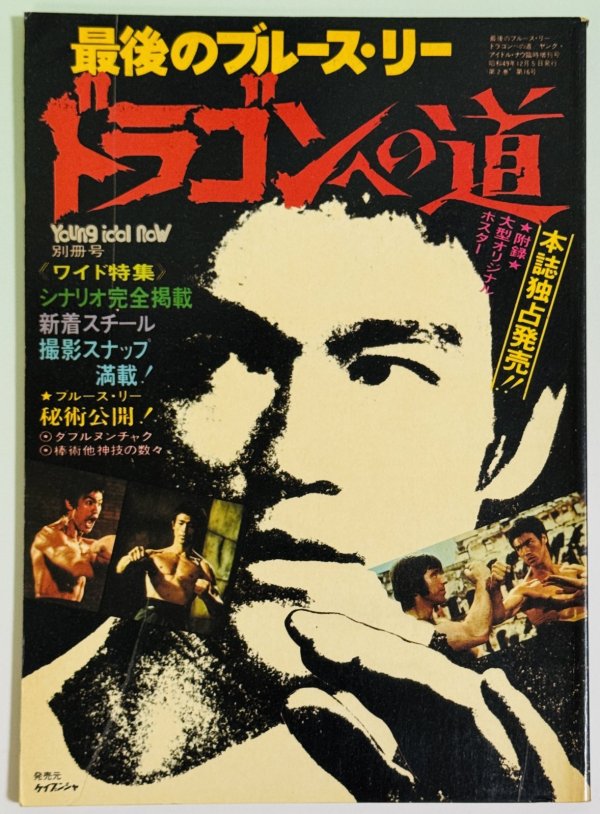 画像1: 【当時モノ】最後のブルース・リードラゴンへの道（国内本） (1)