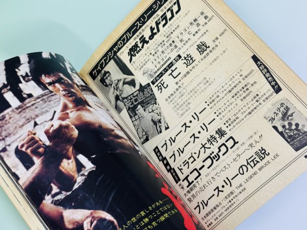 画像3: 【当時モノ】最後のブルース・リードラゴンへの道（国内本） (3)