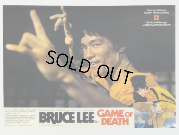 画像1: クリアファイル 死亡遊戯ロビーカードポーズ写真 (1)