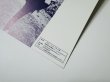 画像3: 燃えよドラゴン パンフレット1997復刻版（USED） (3)