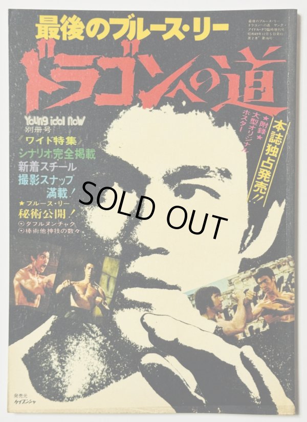 画像1: 【青野敏行コレクション】最後のブルース・リードラゴンへの道（国内本） (1)