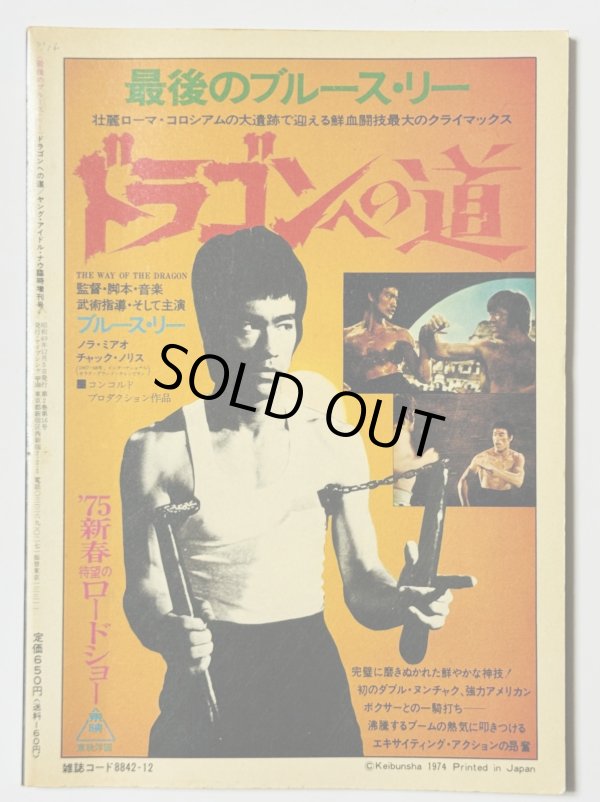 画像2: 【青野敏行コレクション】最後のブルース・リードラゴンへの道（国内本） (2)