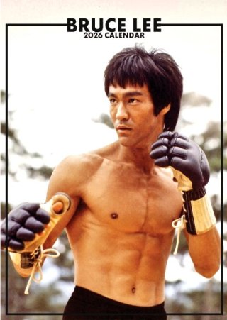 ブルース・リー本 - ドラゴンなお店 今井商店 (Page 3)