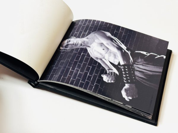 画像2: 【本日限定特価】細鳳ウォーリアーフォトブック (2)