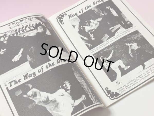 画像3: 【一点モノ】シークレットオブブルース・リークンフー（コピー本） (3)