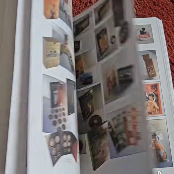 画像6: 【ご予約】ブルース・リー：ストーリー、人生、旅そして情熱（米国書籍） (6)