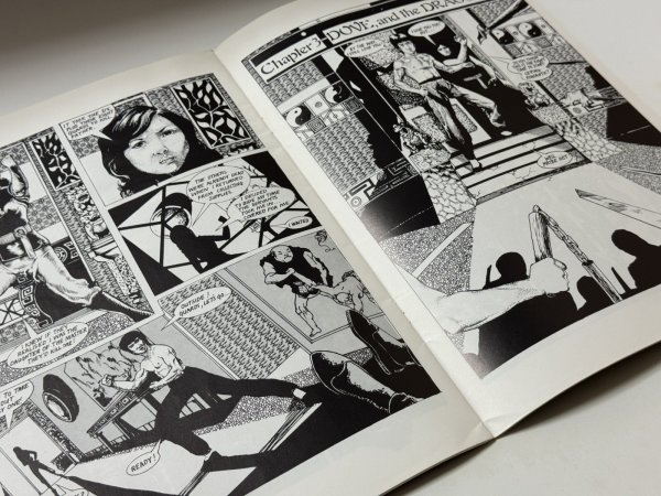 画像2: 【1点モノ】ブルース・リー：幻のドラゴン（英国コミック本） (2)