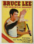 画像1: 【当時モノ】BMシリーズ7 イモータル・ドラゴン（香港書籍） (1)