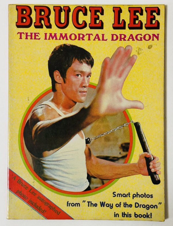 画像1: 【当時モノ】BMシリーズ7 イモータル・ドラゴン（香港書籍） (1)