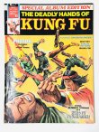 画像1: 【1点モノ】デッドリー・ハンズ・オブ・カンフー特別号（米国コミック本） (1)