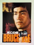 画像1: ブルース・リー死亡の塔パンフレット（USED） (1)