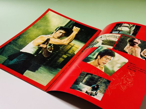 画像2: 最後のブルース・リードラゴンへの道パンフレット（USED） (2)