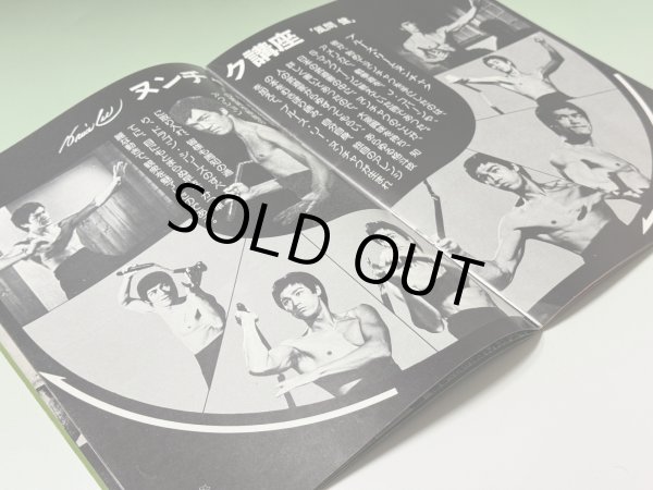 画像3: 最後のブルース・リードラゴンへの道パンフレット（USED） (3)