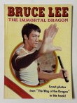 画像1: 【1点モノ】BMシリーズ7 イモータル・ドラゴン（香港書籍） (1)