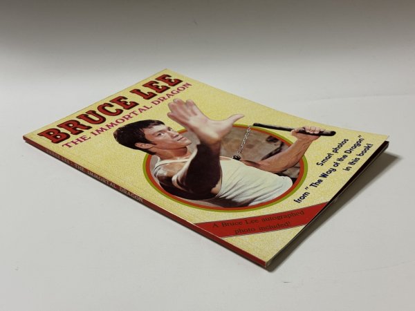 画像2: 【1点モノ】BMシリーズ7 イモータル・ドラゴン（香港書籍） (2)