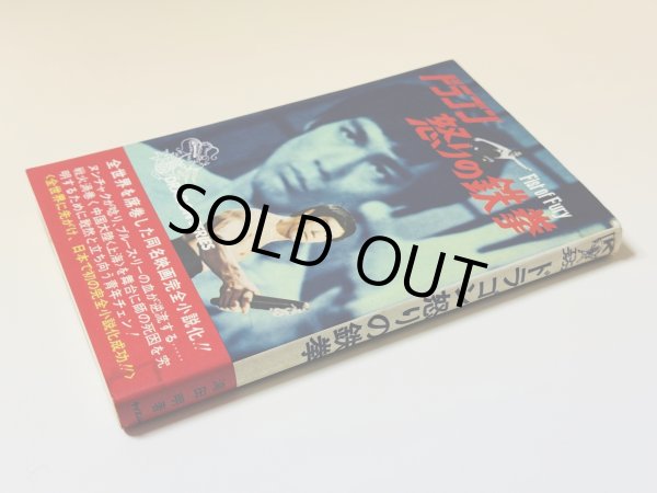 画像2: 【1点モノ】小説 ドラゴン怒りの鉄拳（国内書籍） (2)