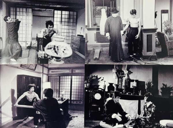 画像2: 【10冊限定】ドラゴン怒りの鉄拳フォトブック (2)