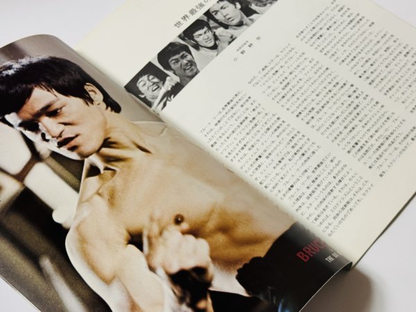 画像3: 【1点モノ】ドラゴン危機一発パンフレット（USED） (3)