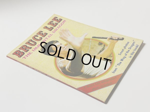 画像2: 【1点モノ】BMシリーズ7 イモータル・ドラゴン（香港書籍） (2)