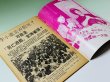 画像3: 【1点モノ】CBシリーズ1 李小龍内幕秘密（香港書籍） (3)