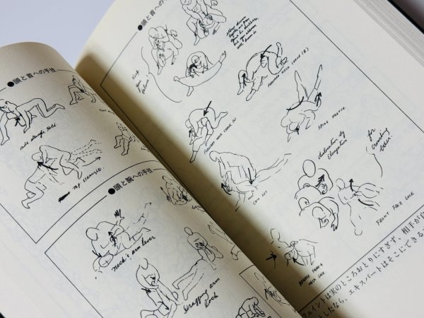 画像3: 【1点モノ】截拳道（ジークンドー）への道 帯付き（国内書籍） (3)