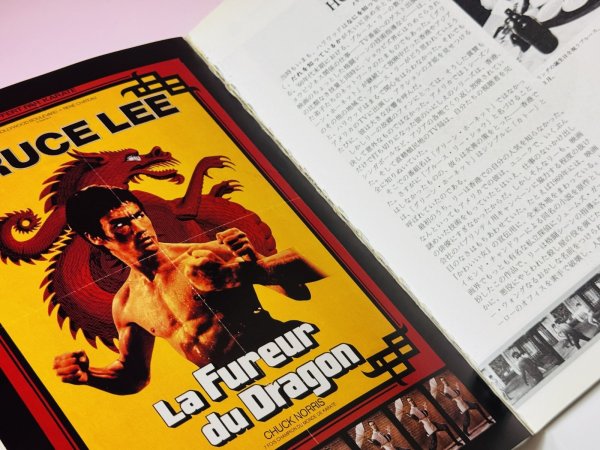 画像3: 【1冊限定】ブルース・リードラゴン伝説 帯なし（国内書籍） (3)