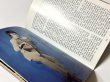 画像3: ブルース・リー キング・オブ・クンフー BRUCE LEE KING OF KUNG-FU（英国冊子） (3)