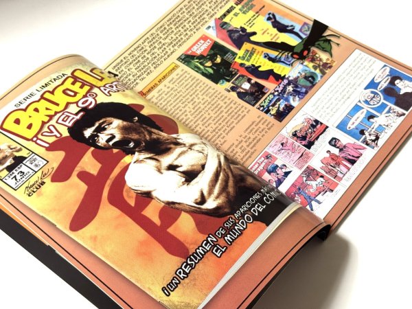 画像3: 【USED】ブルース・リーマニア10（ヨーロッパ同人誌） (3)