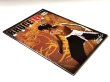 画像2: 【USED】ブルース・リーマニア6（ヨーロッパ同人誌） (2)