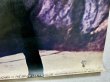 画像5: ブルース・リー：燃えよドラゴンヌンチャクポーズポスター（ほぼA1サイズ） (5)