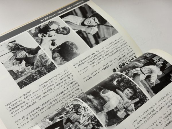 画像5: スクリーンデラックス カンフー映画大全集 〜「燃えよドラゴン」から「カンフーハッスル」まで〜（国内書籍） (5)