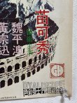 画像8: 【付録ポスター付！】最後のブルース・リードラゴンへの道：ヤングアイドルナウ別冊号（国内書籍） (8)