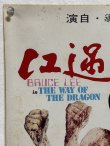 画像5: 【付録ポスター付！】最後のブルース・リードラゴンへの道：ヤングアイドルナウ別冊号（国内書籍） (5)